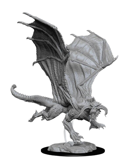 WizKids - D&D Nolzurs Marvelous Miniatures: Young Black Dragon - Wave 8