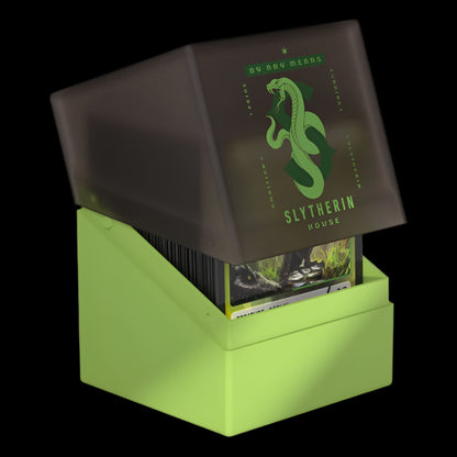 Green and brown box with Slytherin house emblem on a white background